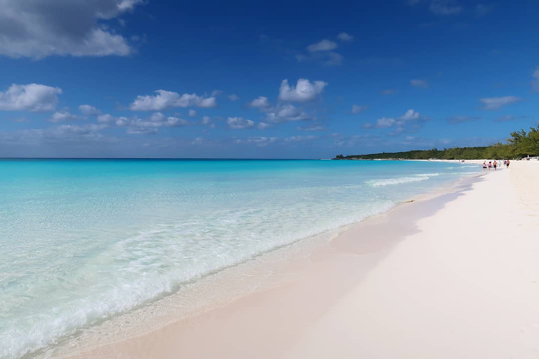 djcomplexlex's tweet image. The Bahamas, Turks &amp;amp; Caicos and the DR, you were lovely.....and I definitely want to take home every Island dog that I saw 🙏
Next stop, Key West 💙