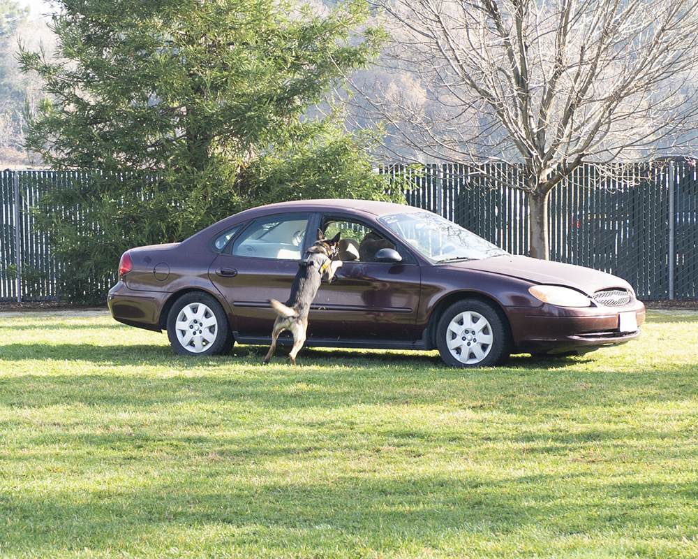 Have it your way. Since you won't come out, I'm coming in.