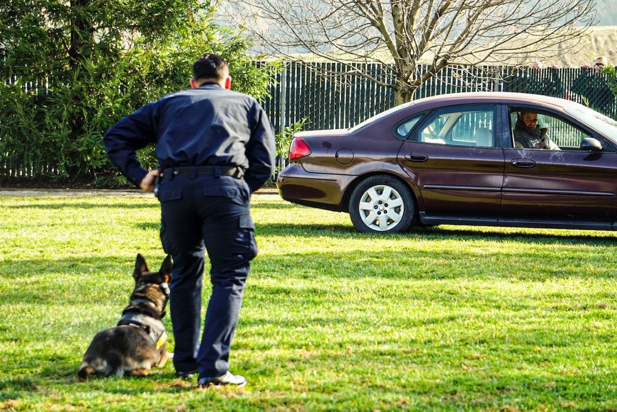 Officer Garcia and his canine partner Kato