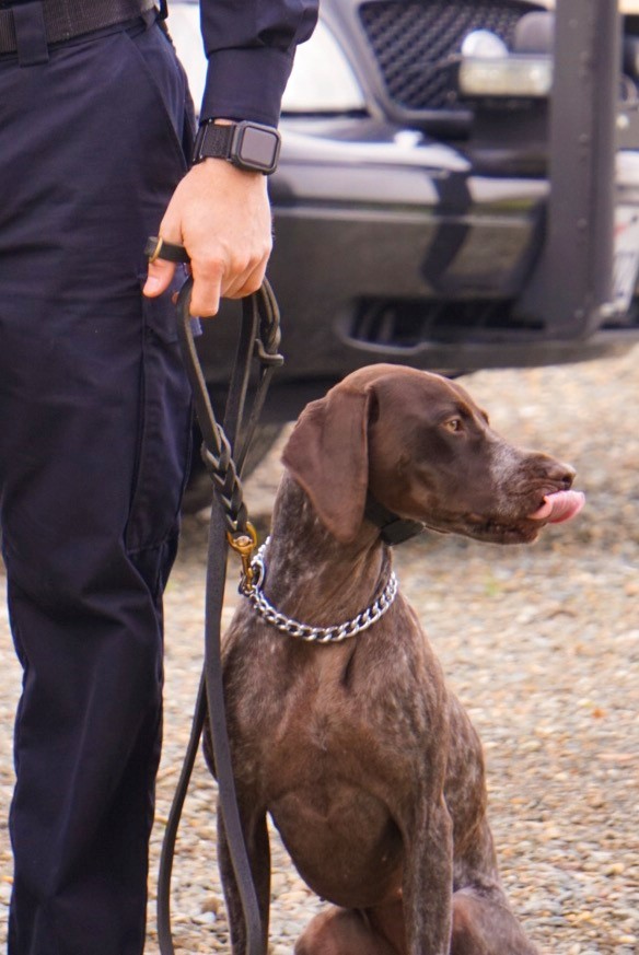 Tekk patiently waiting for the ceremony to begin