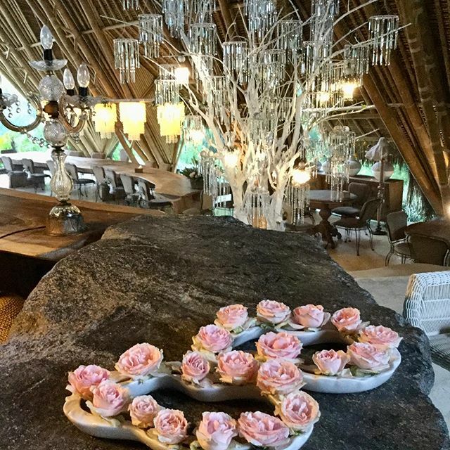 new flower pots, they look like a cloud of roses 🌹 🌸🌺#flowersdecoration #glampinglife #tents #baliindonesia #ubud #hotelinubud #placetobe #placetovisit #luxuryhotel ift.tt/39Xtckh