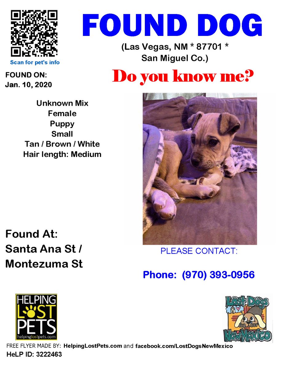 🛑🛑 Do you know this Dog? #LasVegas (Santa Ana St / Montezuma St) #NM 87701 #SanMiguel Co. , #Found #Dog 01-10-2020!, Small / Baby / Female / #Unknown Mix / Tan / Brown / White facebook.com/LostDogsNewMex…