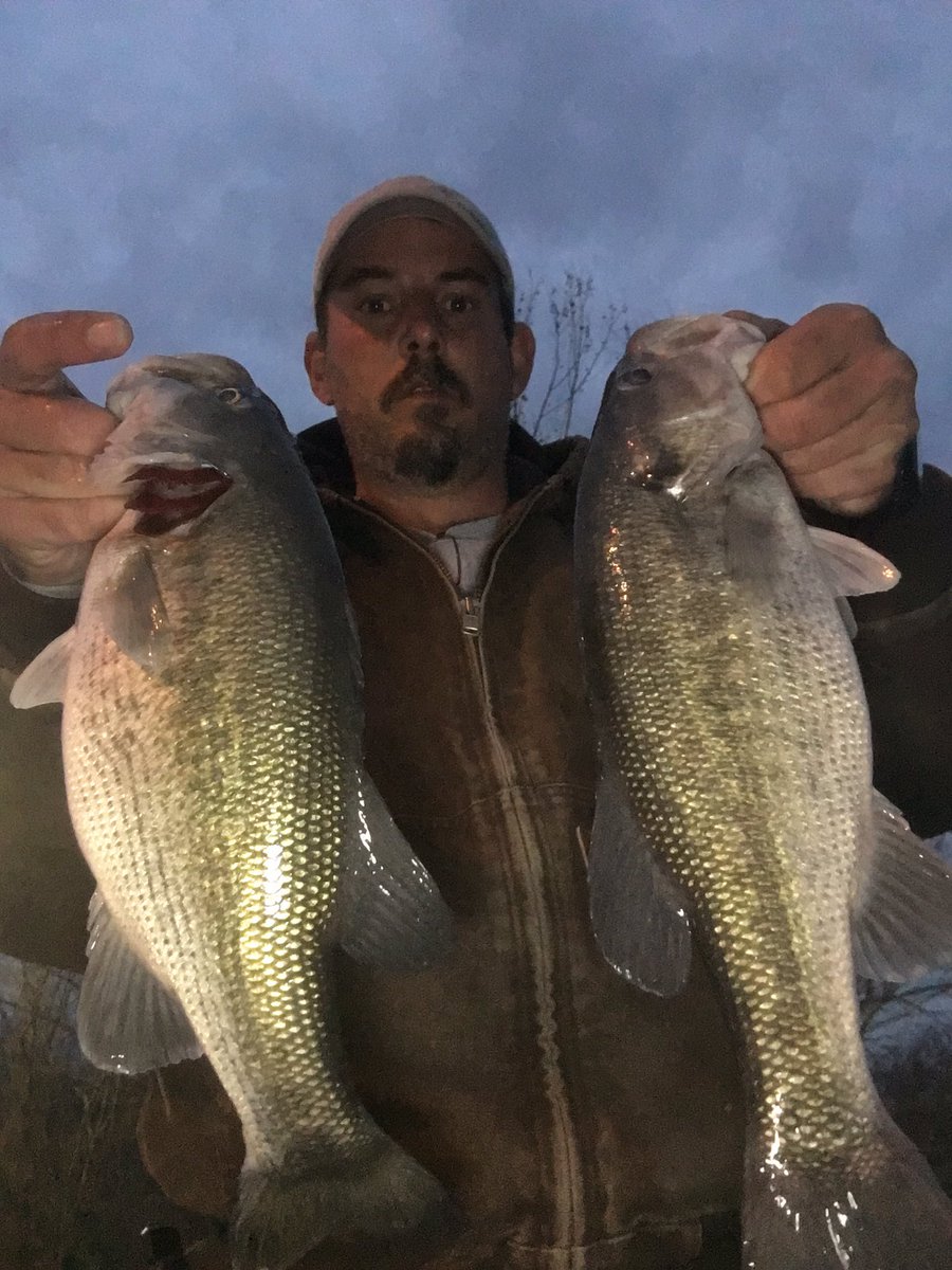 STEVENDEANDEMPS's tweet photo. SD Fishing only found 2 keepers today. The struggle was real. #Enigmafishing,#K9fishingproducts,#GillFieldStaff,#yankumcustomtackle,#connectscale,#DJMarineElectronics https://t.co/HA1kLncShk