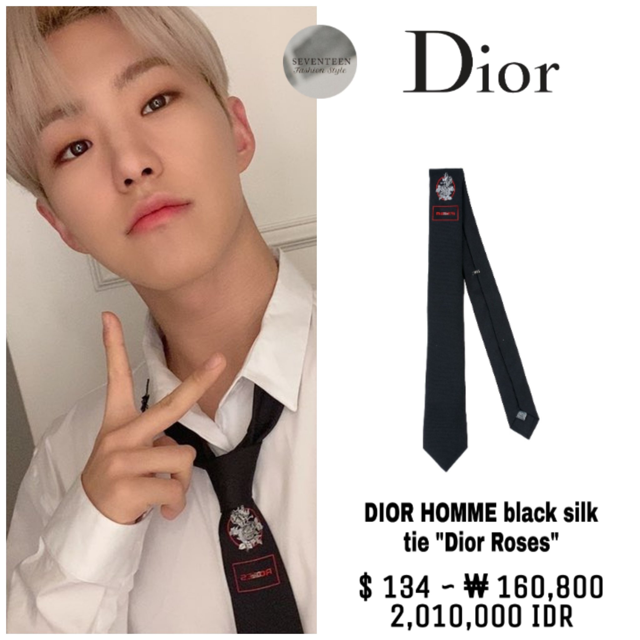 dior homme roses tie