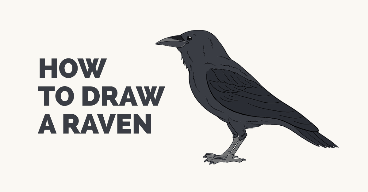 How to Draw a Crow | A Step-by-Step Tutorial for Kids