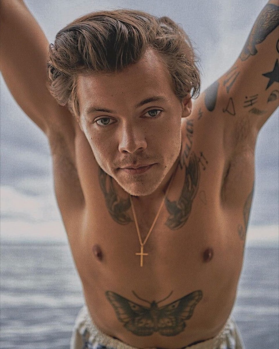 best harry pics tweet media