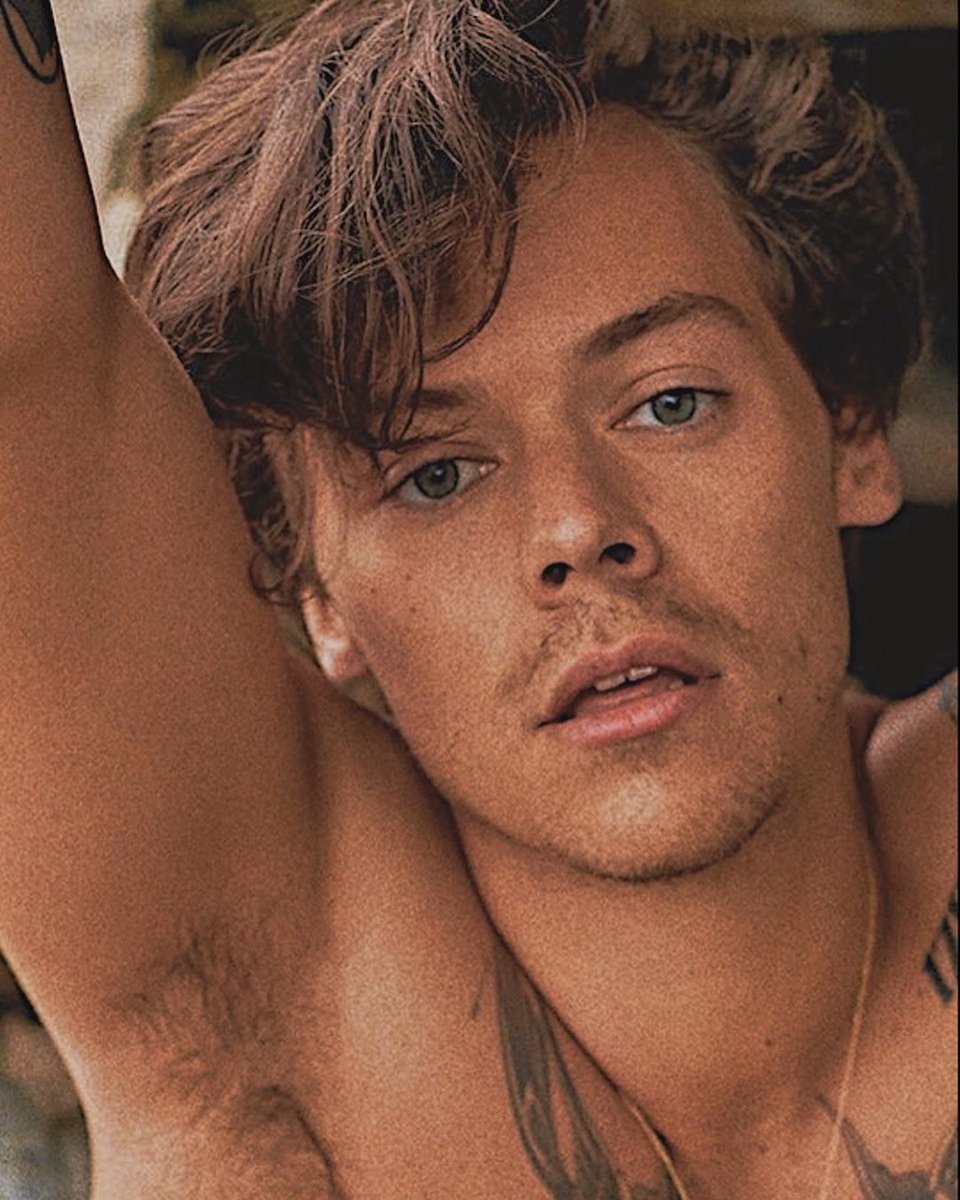 best harry pics tweet media