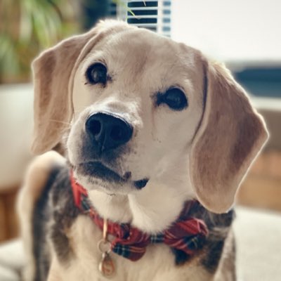 ConfabSammy's tweet photo. #NewProfilePic https://t.co/r6z6v12UAE