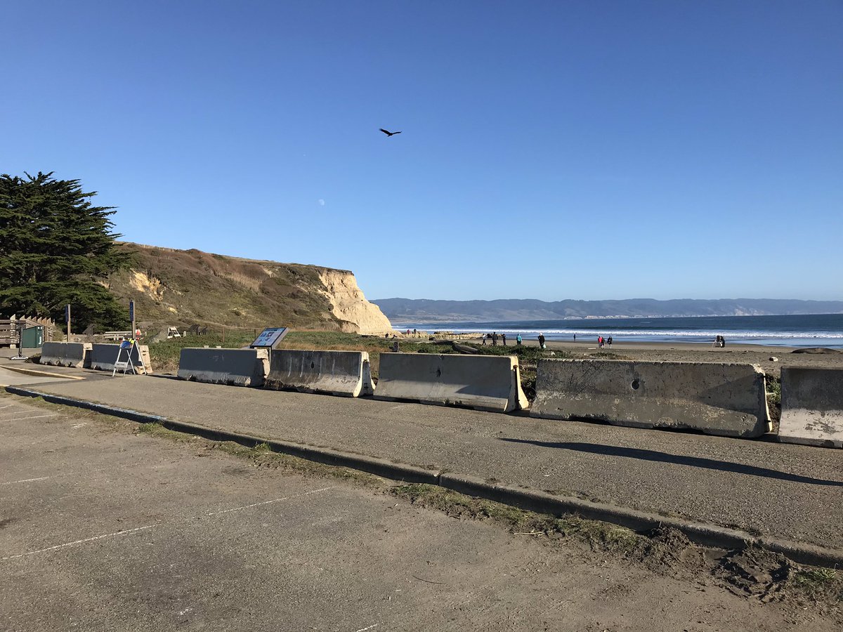 Cement barriers set up along a sidewalk
