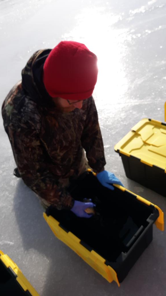mike_louison's tweet photo. Iceocalypse is complete, and I'll say that it's a good thing when the big problem on day 4 was that we almost ran out of syringes and space on the data sheets!  Thanks again to @Bassboyjones, Logan, and Bradley for making this possible!  #fishsci #mckendree #fishphys #IceFishing https://t.co/TSTHh2LnZa