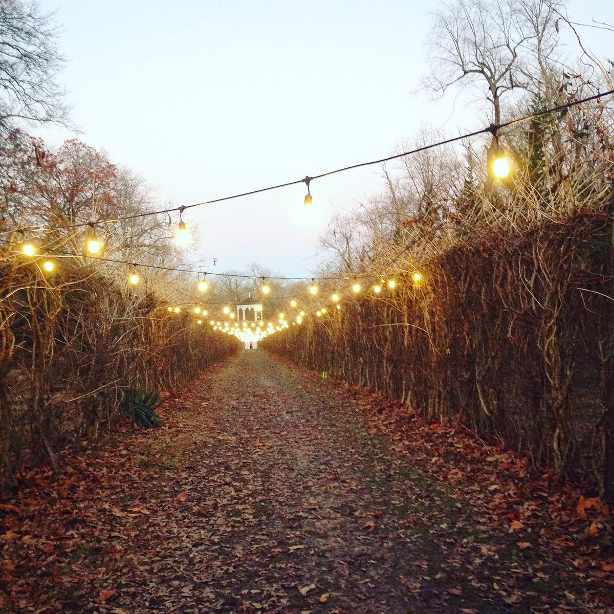GradCollegeIL's tweet photo. Magical. ✨

@AllertonParkUI Kirby Winter Wellness Walk.
Fridays &amp; Saturdays ONLY from 5-9pm until January 31. https://t.co/ia2uDqEq9O