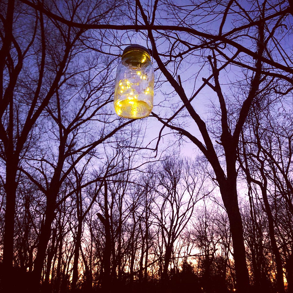 GradCollegeIL's tweet photo. Magical. ✨

@AllertonParkUI Kirby Winter Wellness Walk.
Fridays &amp; Saturdays ONLY from 5-9pm until January 31. https://t.co/ia2uDqEq9O