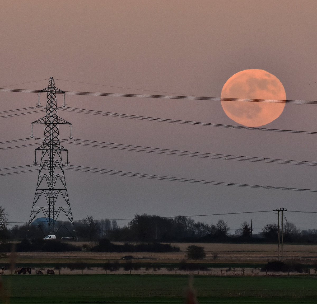 Topbell's tweet photo. The Wolf moon doing a high wire act near to Wicken Fen in Cambridgeshire . 😂#WolfMoon #bloodmoon #fullmoon #balance #highwire #highwireact #Cambridgeshire #wickenfen #fenmoon #moonphase #nature #powerlines #mooneclipse #moonrise #teetering #pylons #konikponies https://t.co/s41YQRBygK