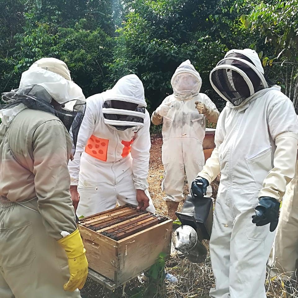 Trabajamos en pro de la vida, enseñando de la mejor manera <a href="/campoyabejas/">Campo y Abejas</a> <a href="/Ambiental_Mente/">Ambientalmente</a> <a href="/ApiEcologica/">ElColmenar</a> <a href="/apimiel/">Apicultura</a> @