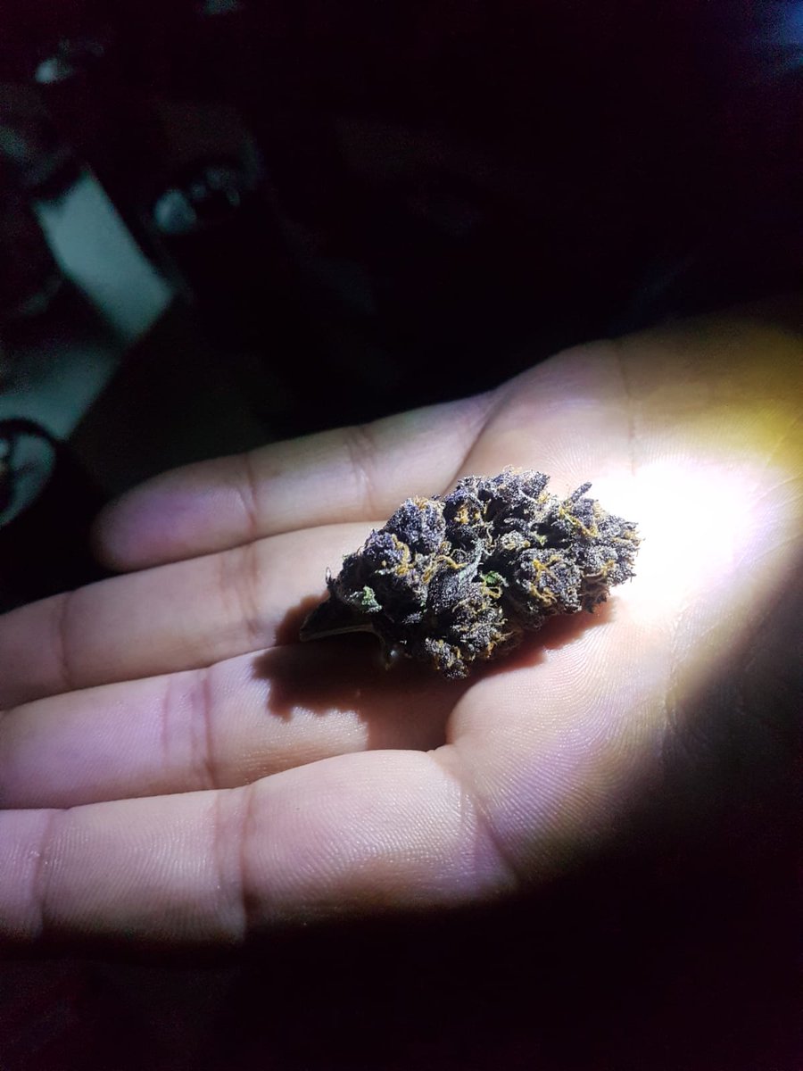 Uberbeuh33's tweet photo. Livraison possible et distrait
Inbox via WhatsApp 👇 👇
+33 6 44 68 75 03
Wickr: Roxpland
Telegram:https://t.co/dqavwTqX5W
#hotelmonacophiladelphia #hotelmonacowedding #hotelmonacopgh #hotelmonacophilly #hotelmónaco #hotelmonacodenver #hotelmonacobaltimorewedding https://t.co/t4qYMeTKFa