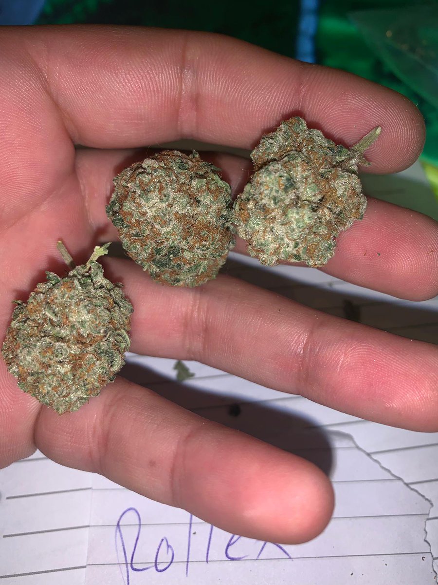 Uberbeuh33's tweet photo. Livraison possible et distrait
Inbox via WhatsApp 👇 👇
+33 6 44 68 75 03
Wickr: Roxpland
Telegram:https://t.co/dqavwTqX5W
#hotelmonacophiladelphia #hotelmonacowedding #hotelmonacopgh #hotelmonacophilly #hotelmónaco #hotelmonacodenver #hotelmonacobaltimorewedding https://t.co/t4qYMeTKFa