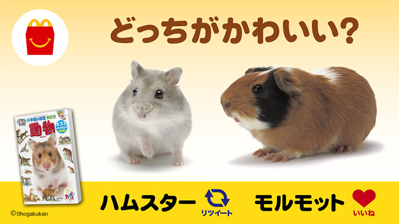 マクドナルド 在 Twitter 上 ハムスターとモルモット どっちがかわいいと思いますか ハムスターだと思う人はrt いやいやモルモット だと思う人はいいね ハムスターやモルモットのなかまたちについて学びたいなら ハッピーセット で選べる 小学館の図鑑neo