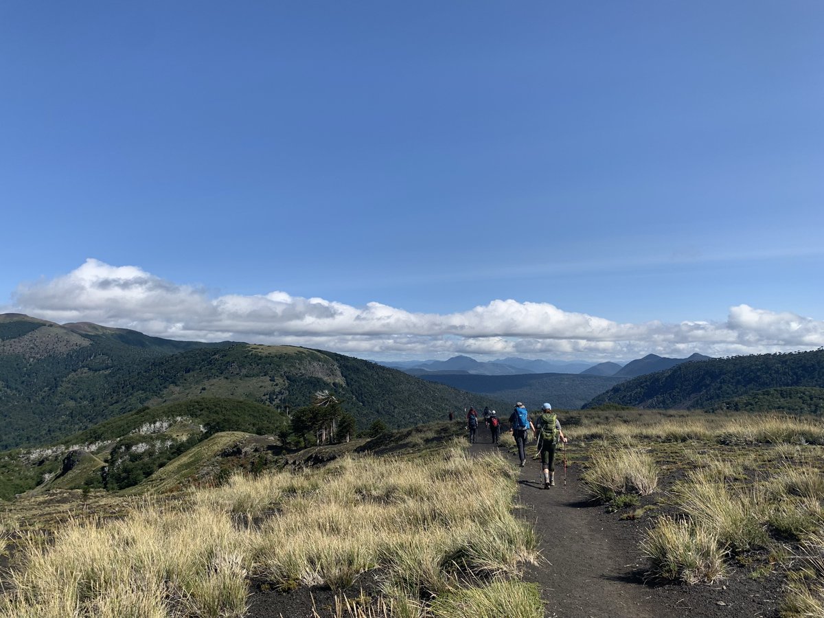 BoiseStateGeos's tweet photo. Today, Team Villarrica made it past the monkey puzzle trees up to Glaciar Pichillancahue to deploy infrasound sensors and seismometers. These give us a sneak peak into ICE QUAKES created by the cracking, breaking, or sliding of ice! #VolcanVillarrica #BoiseStateGeo ~@RaineyAbe https://t.co/ScUN8mQQqG