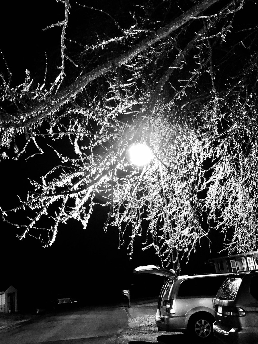 Donita_boutique's tweet image. Ice storms may seem crazy, but they’re also beautiful. #MOweather #MOicestorm #findbeautyinthechaos