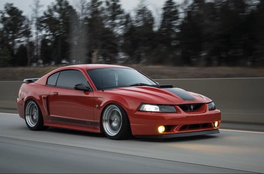 ActiveMustangs's tweet photo. Gorgeous Mach One🐎 ••••••••••••••••••••••••••••••••••
Be sure to check us out on Instagram for Mustang Content and GIVEAWAYS! TAGS:
#ItsMustangs #Theponyaddicts #Socialmustang
#Mustangfanclub #Fatalstangs https://t.co/A98YNXwA3f