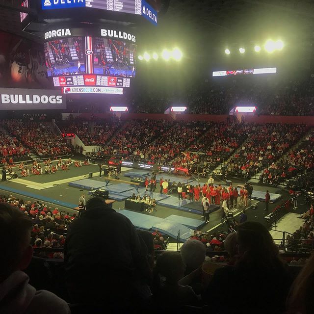 SladeTriplets's tweet image. Day 1 in Athens:  @ugagymnastics with our @ugamiracle Family Pals ift.tt/2NfZMo5