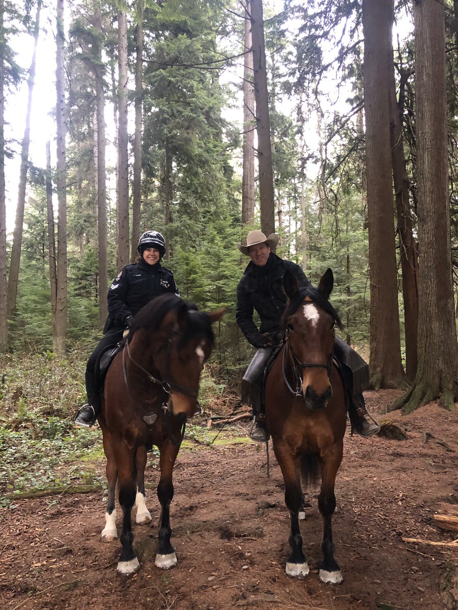VPD Mounted Unit tweet media