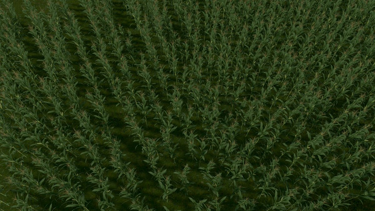 The agriculture project is officially started! Cims will be able to eat from their own back yards soon. So far we have corn growing. Seeds are also planted for rice, tea, coffee, wheat, apples, oranges, peanuts and cotton 🤠