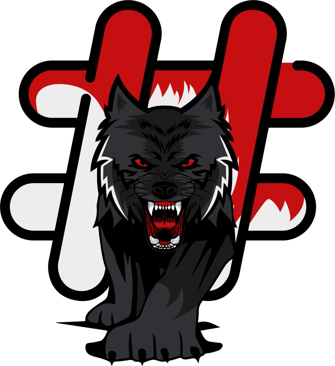 CodeSigned248's tweet image. #TeamCS