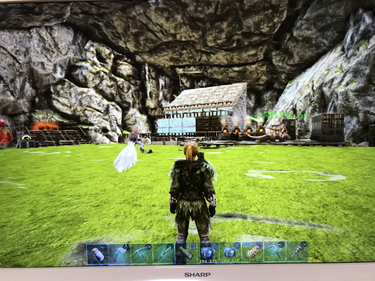 25 Ark ラグナロク洞窟 ただのゲームの写真