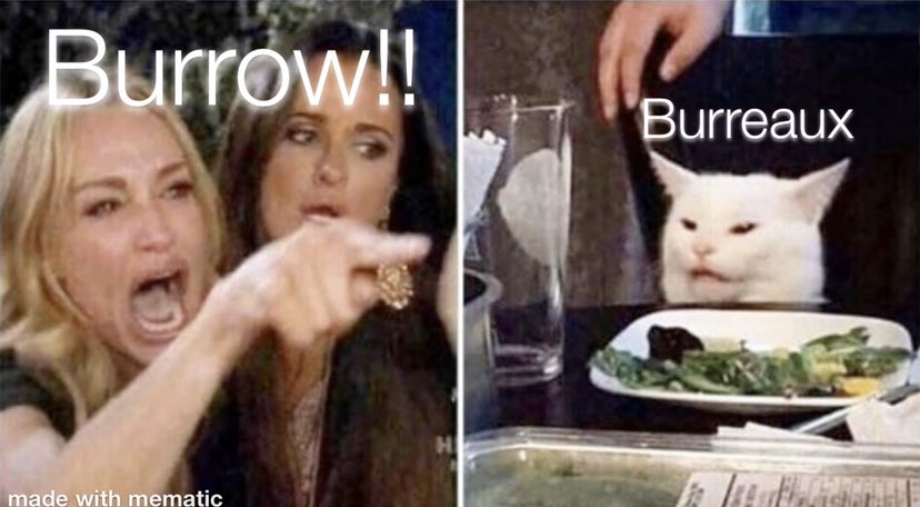 alimeaux's tweet photo. #CFPlayoff #LSUFootball #joeburrow #JoeBurreaux #GeauxTigers #thismeme ๐ https://t.co/Yi0Sho4yCo
