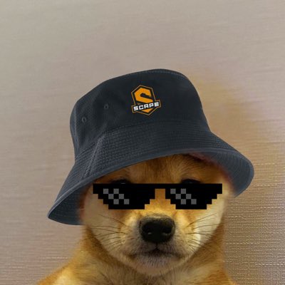 #ScapeGang joins #dogwifhatgang