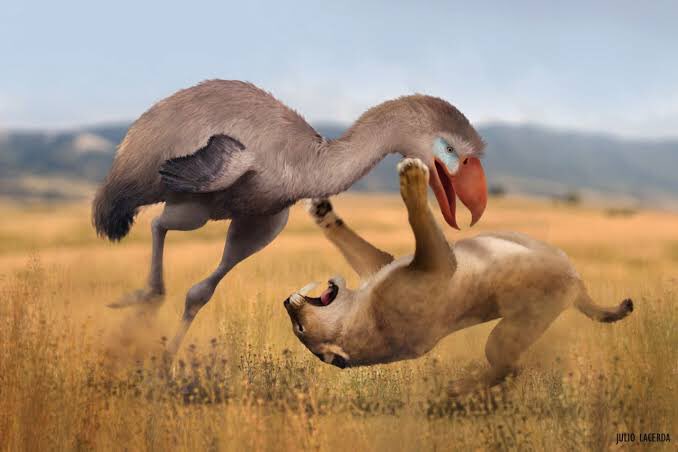 PPRemastered's tweet photo. #QuestionOfTheWeek #11
In a hypothetical situation where a Smilodon populator and Titanis walleri where to meet, (despite being separated by 1.5 million years) who would win in a fight? 
P.S @randompaleonerd please don’t kill me https://t.co/b4RkPjHeb2