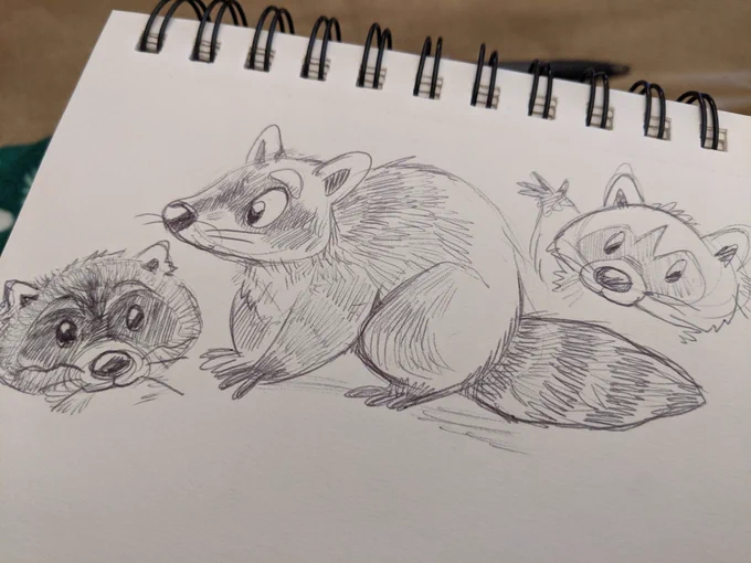 Doodlin' raccoons! 