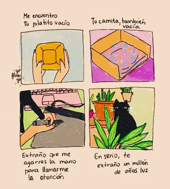 NancyUbilla3's tweet photo. #Micky te envió luz, te envío amor 🙌🏼🙏🏼🥺😿 mándame de regreso resignación porque te sigo extrañando mi gato corazón.

#GingerCat #GatoAmarillo #InMemoriam #Cats #Gatos #CatLover #AmanteDeLosGatos #RescueCats #GatosRescatados https://t.co/9cNebvFdPu