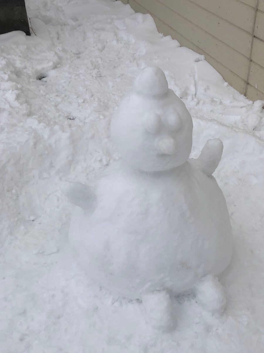 AceRea_Channel's tweet photo. 雪だるまつくーろー
お兄ちゃんが作ってくれた⛄️

#雪だるま #雪国 #さむさむ https://t.co/p8GP35nyVW