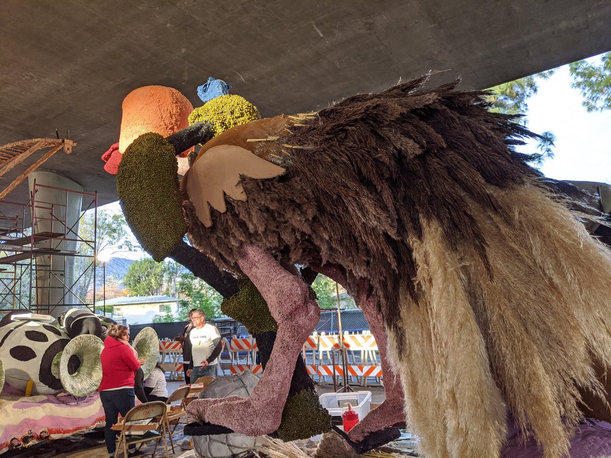 Jdlazo's tweet photo. Here are some of my #RoseParade projects with #lcftra this year. I love them all, but the ostrich may be one of the coolest things I've ever decorated... https://t.co/NC46U4jEVi