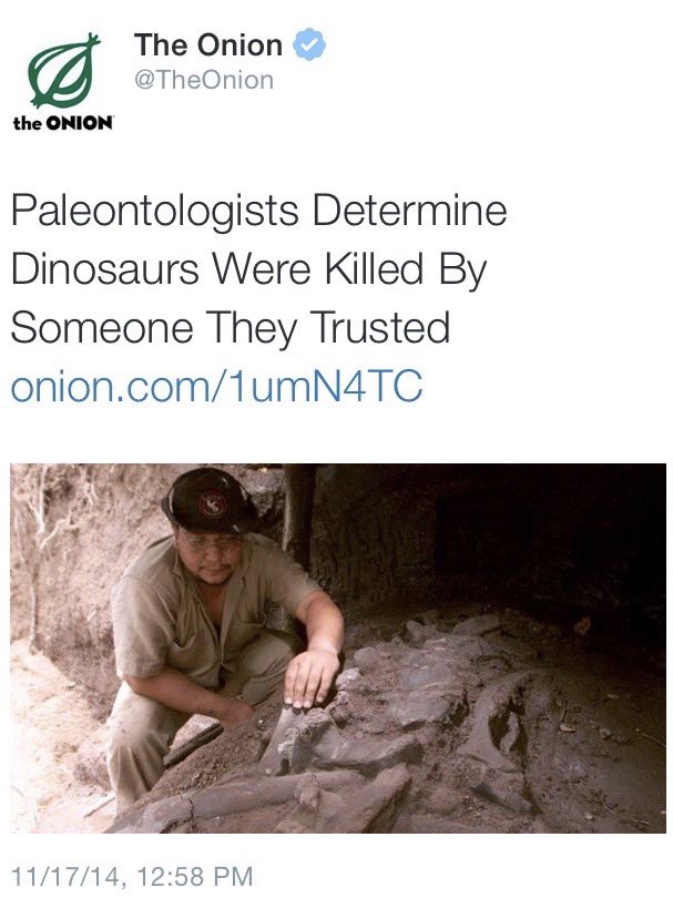 Tyler Collins tweet media