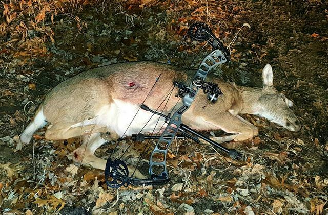 Superbrianjames's tweet photo. Another Freezer Queen! She didn't make it far with that quartering away shot. #freezerqueen #Instagram https://t.co/9G1LFUZt0w