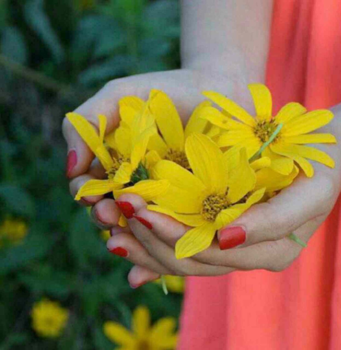 Kh13641's tweet photo. 💕هميشه بگرد
 ببين
پيش كی ميتونی 
بلند فكر كنی!
اين يعنی
"حس خوب"😍🌱

حس خوب زندگی میشه یه رفیق قدیمی باشه یا یه دوست ... 
میشه خواهرت باشه یا مادرت ...
میشه داداش کوچکترت باشه یا پدرت ...
مهم اینه که اون حس خوبتو پیدا کنی ..

  🔜 join 👉 @palp_tel ♥️🍃 https://t.co/8MnAZ8KvNc
