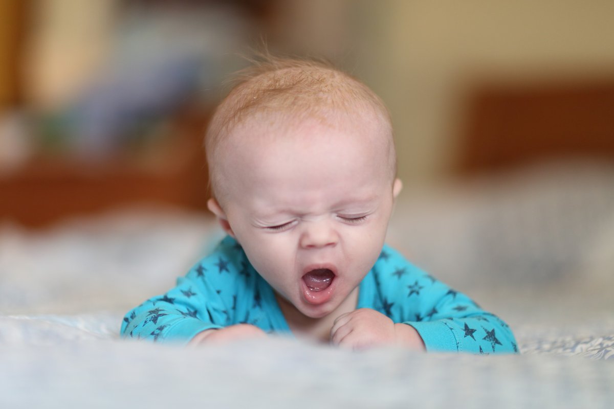 gardyneHOLT's tweet photo. **Yawns**

Don't settle with boring work... 😴 

Come and see us #gardyneHOLT #design

https://t.co/eQJWBsrMVx https://t.co/B8JEtdA5VB