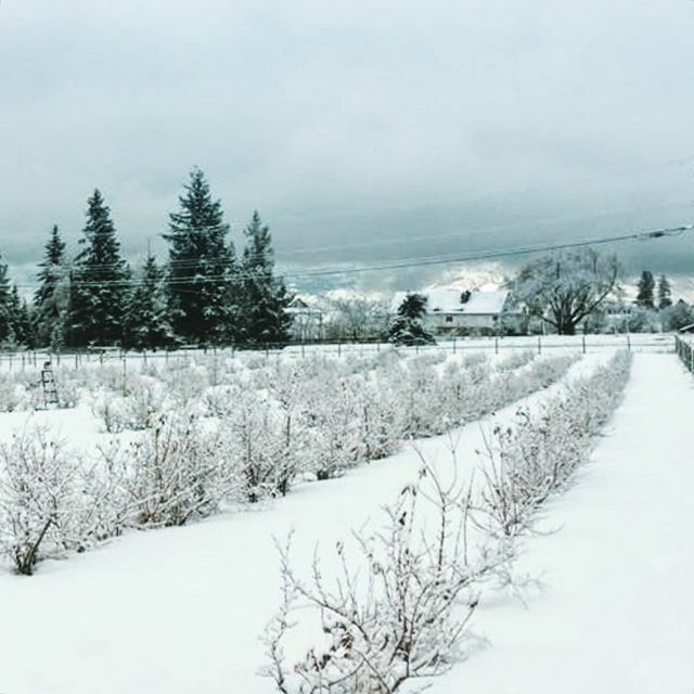 TheFarmLoop tweet picture