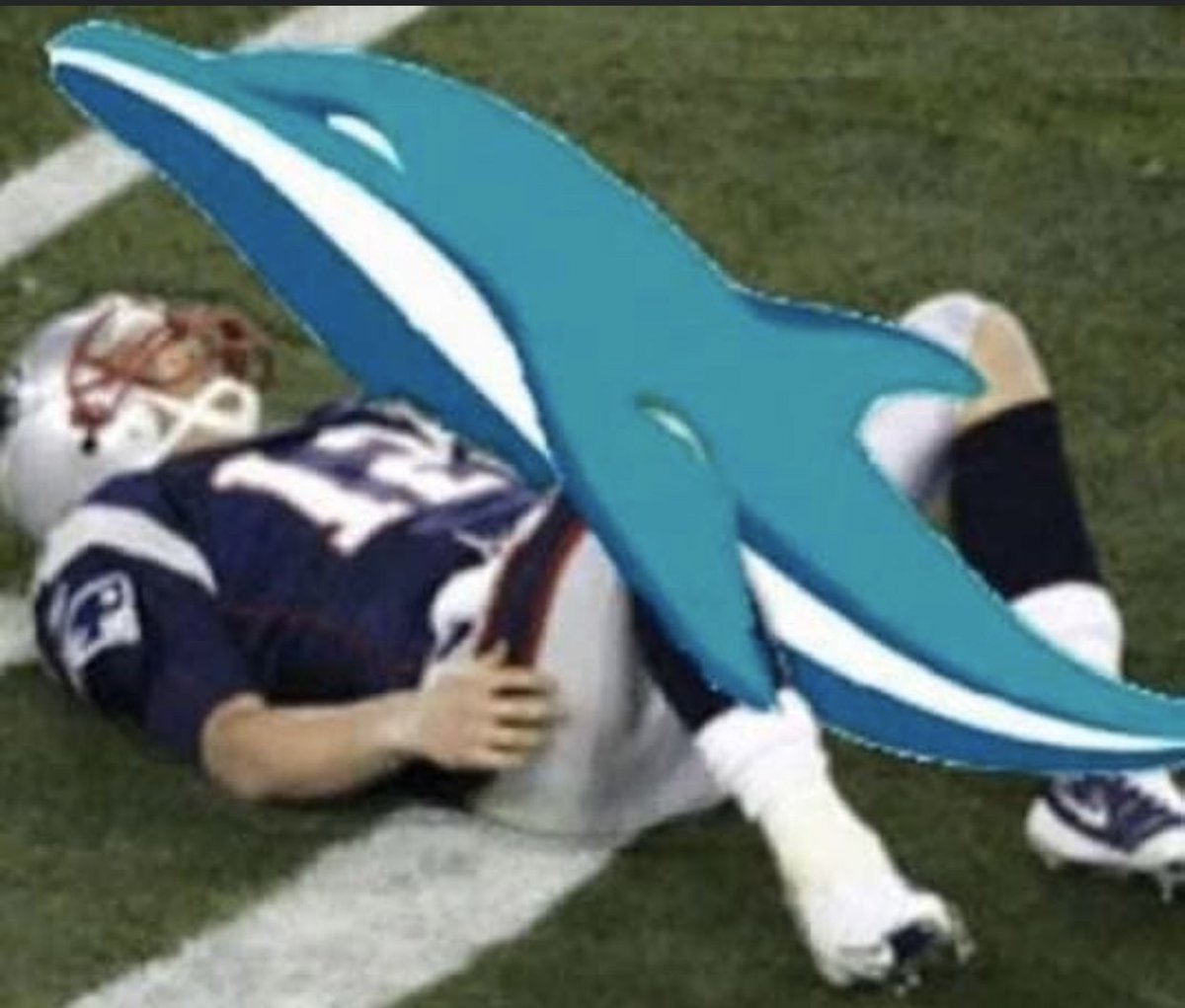 SparkinLark's tweet photo. People are KILLING the meme game today 😂😂😂😂😂 #dolphinsvspatriots #ChiefsKingdom https://t.co/YAv9sFdXlN