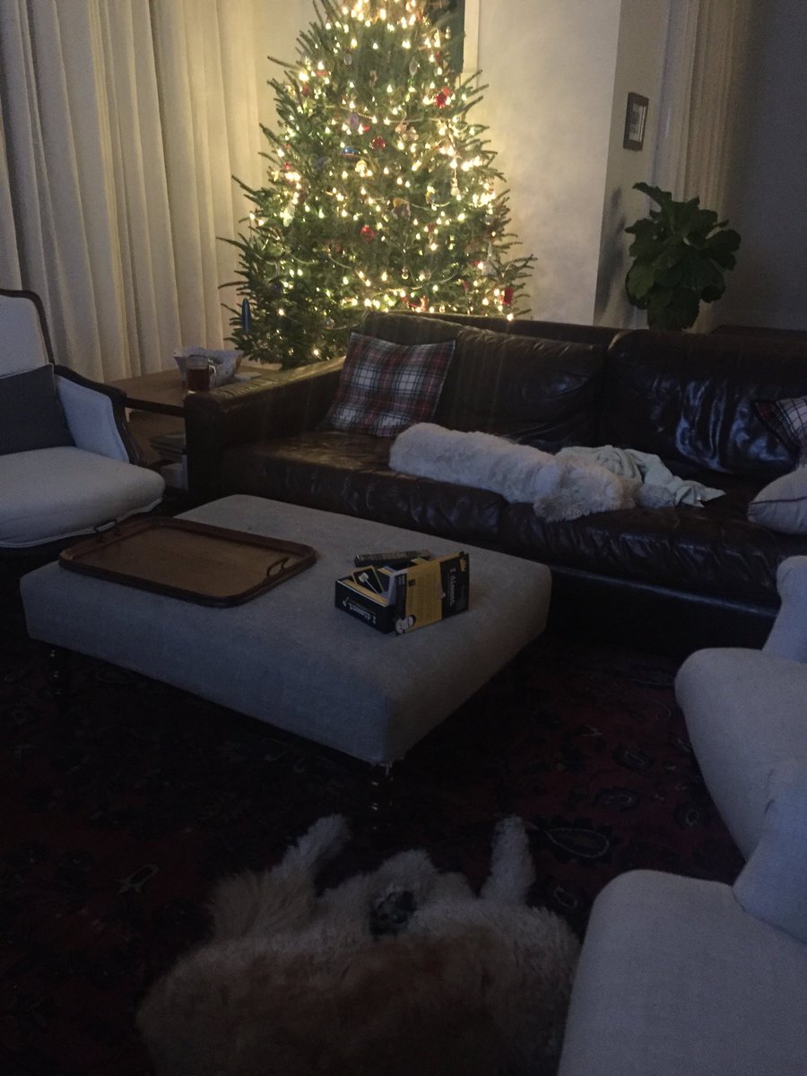 btpatch's tweet image. Not a creature was stirring... on the 5th day of Christmas?!