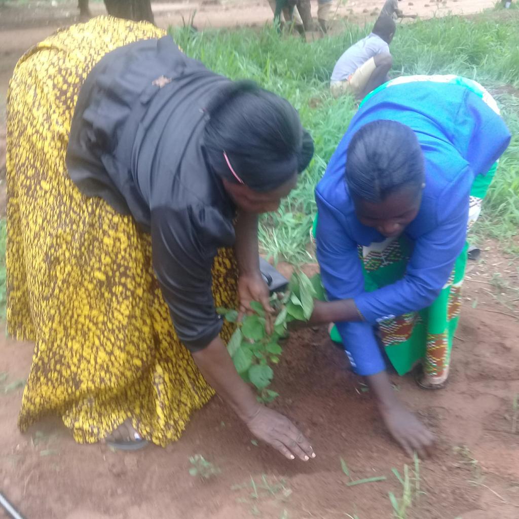 ESTERMABOGO1's tweet photo. Ni siku ya uzinduzi  upandaji miti waraghabishi mbogwe geita tukikabiliana na mabadiliko ya tabia nchi #ChukuaHatua @billmarwa @OxfamTz kwa pamoja tunaweza https://t.co/XoMCiEkuOX