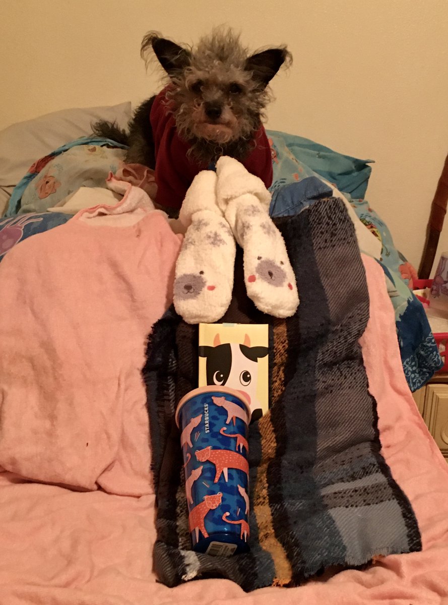 badpiratemonkey's tweet photo. #Hanukkah #Chanukah #AmYisraelChai #NoOneCanExtinguishOurNerTamid
8th night
fluffy pug slipper socks, a mooverlous journal w/cute cow cover, big reusable cup(that last night's seemingly random reusable straw goes with)
#ChooseLove #ChooseKindness #ChooseLight #LightOverDarkness https://t.co/nOgrdCzjfq