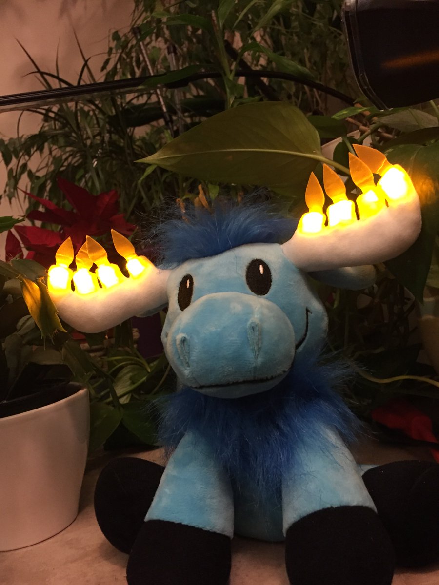 The candles are all lit for the last night of Hanukkah.