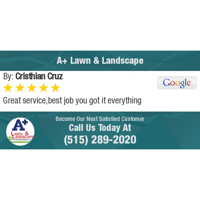 ApluslawnIA's tweet photo. 5 Star: Cristhian C. "Great service,best job you got it everything" https://t.co/6se3XO5O0c https://t.co/WSKoK99kd3