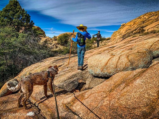 Sometimes we hike!
🥾 🥾
🥾
🥾
🥾
#HikeAlongside #GraniteDells #PrescottAZ
#Dellsneyland
#ScoutTheCataheeler
#catahoulaleoparddog 
#heeler
#traildog ift.tt/2MH6SBs