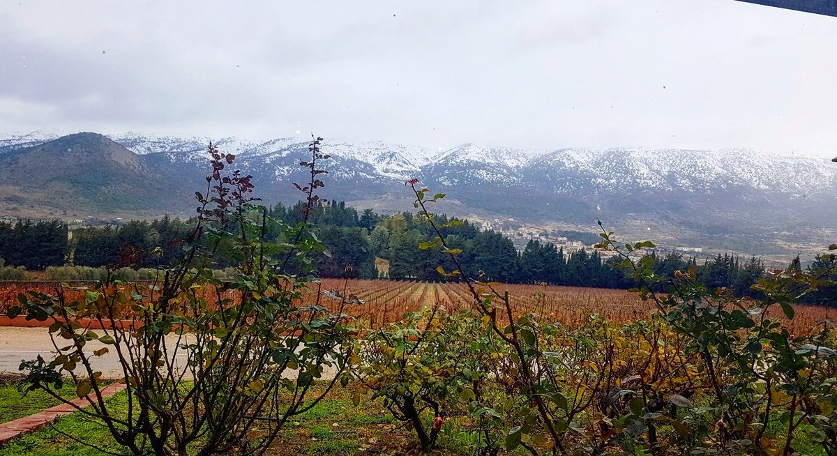 NikoleBK's tweet photo. Relax and enjoy the #magnificent #view #bekaa #livelovelebanon  #kefraya @ChateauKefraya #lesexceptions #carménère 2012 https://t.co/jVMcuVGVLc