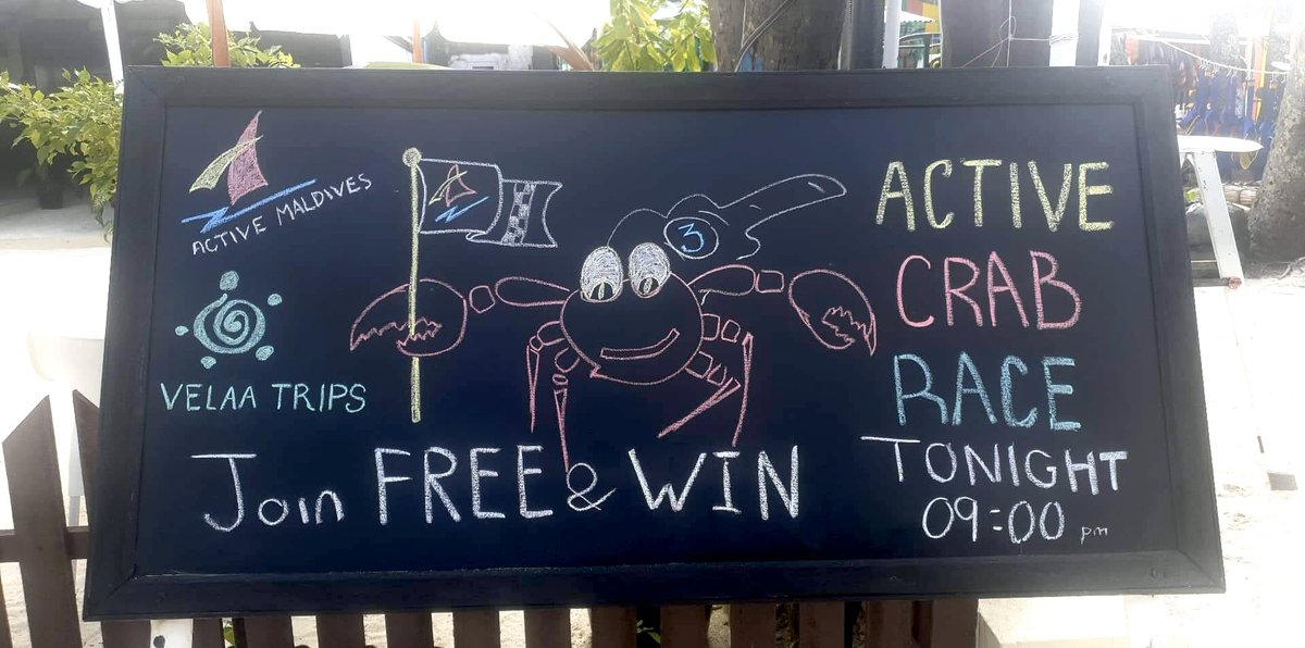 Activemaldives's tweet photo. Join us tonight 🦀😍🤙🏽🌺 #activewatersportsmaafushi https://t.co/mCLRCi7dev